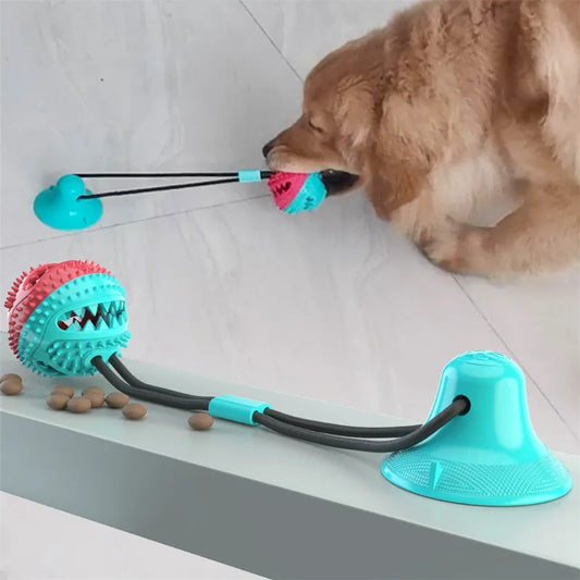 Interaktiver Saugnapf-Ball für Hunde