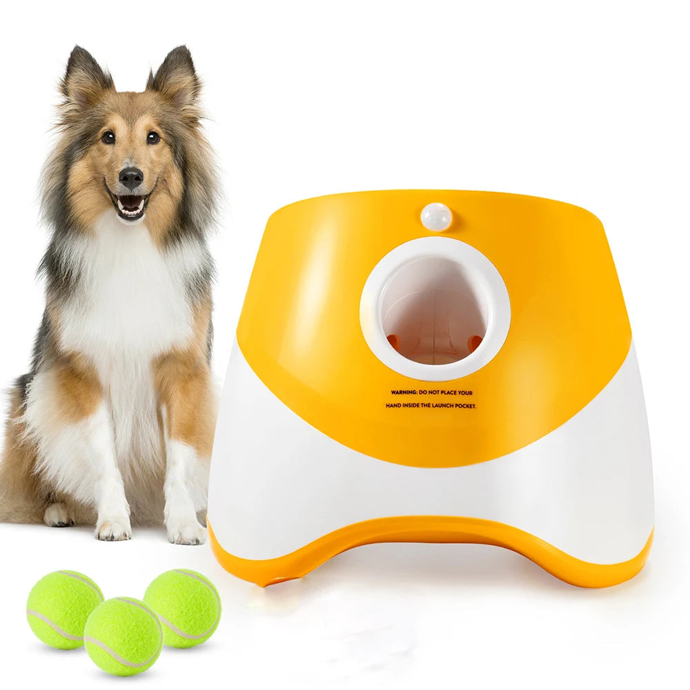 Automatischer Tennisball-Werfer für Hunde