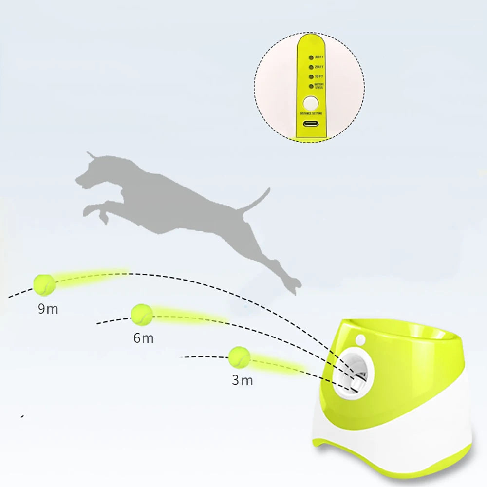 Automatischer Tennisball-Werfer für Hunde