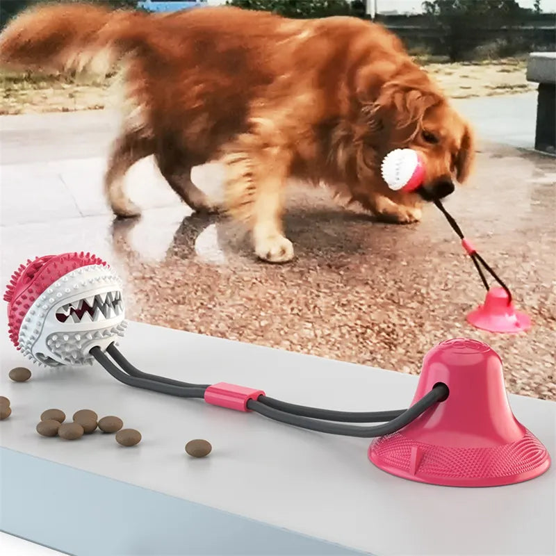 Interaktiver Saugnapf-Ball für Hunde