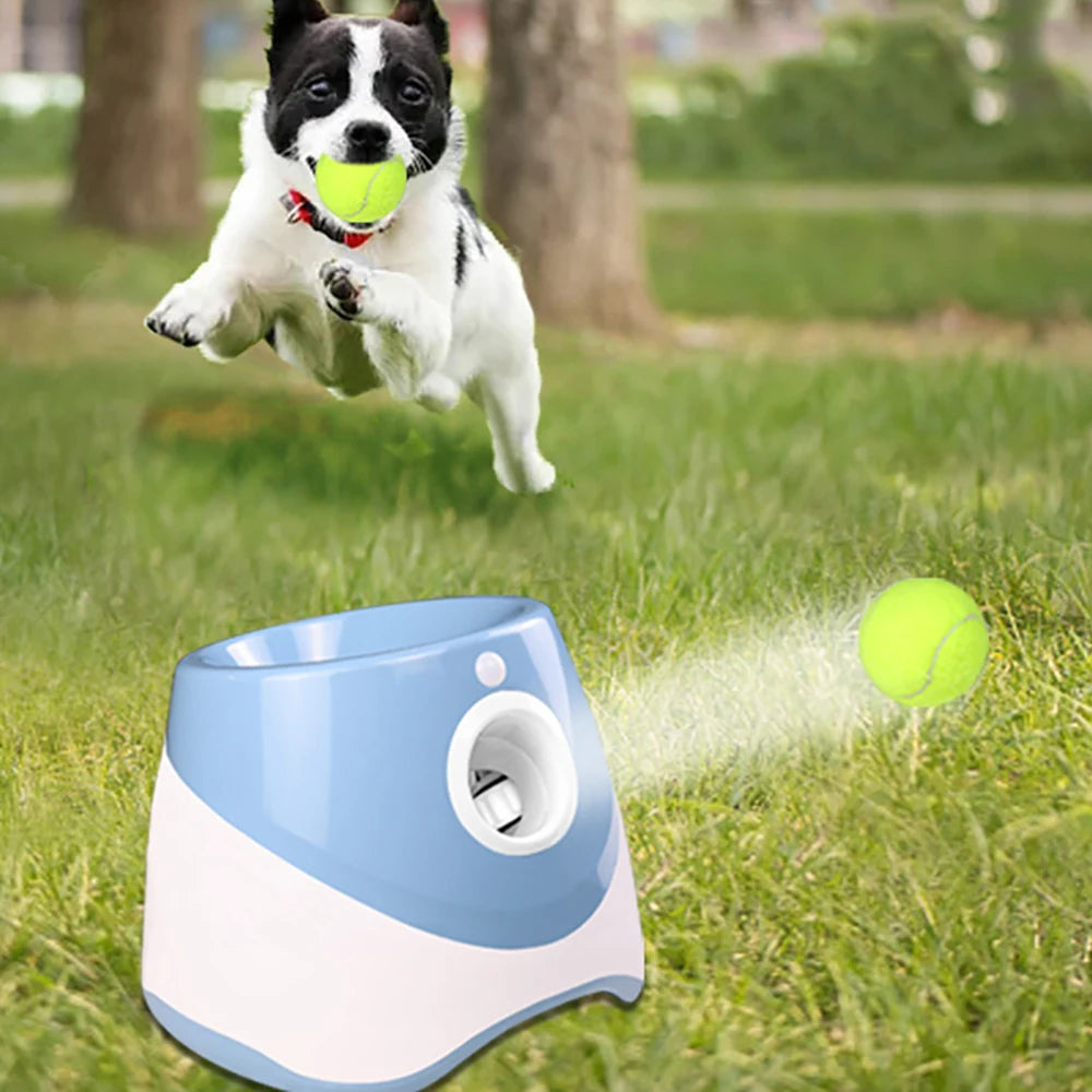 Automatischer Tennisball-Werfer für Hunde