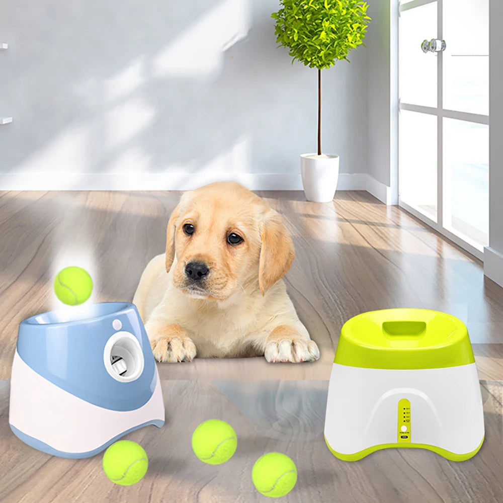 Automatischer Tennisball-Werfer für Hunde