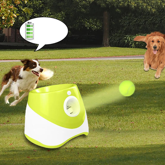 Automatischer Tennisball-Werfer für Hunde