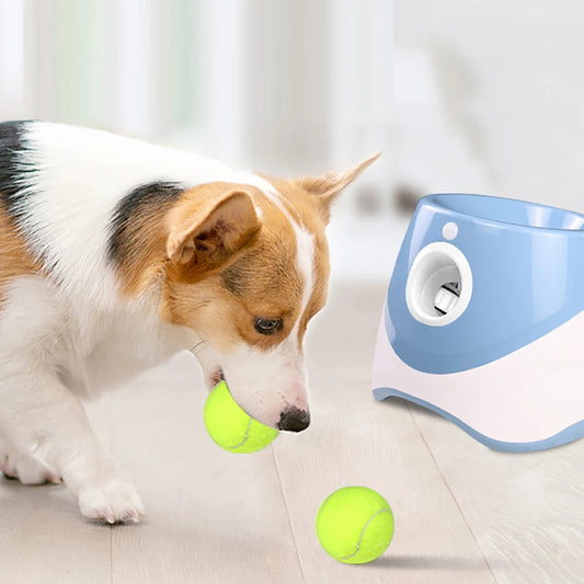 Automatischer Tennisball-Werfer für Hunde